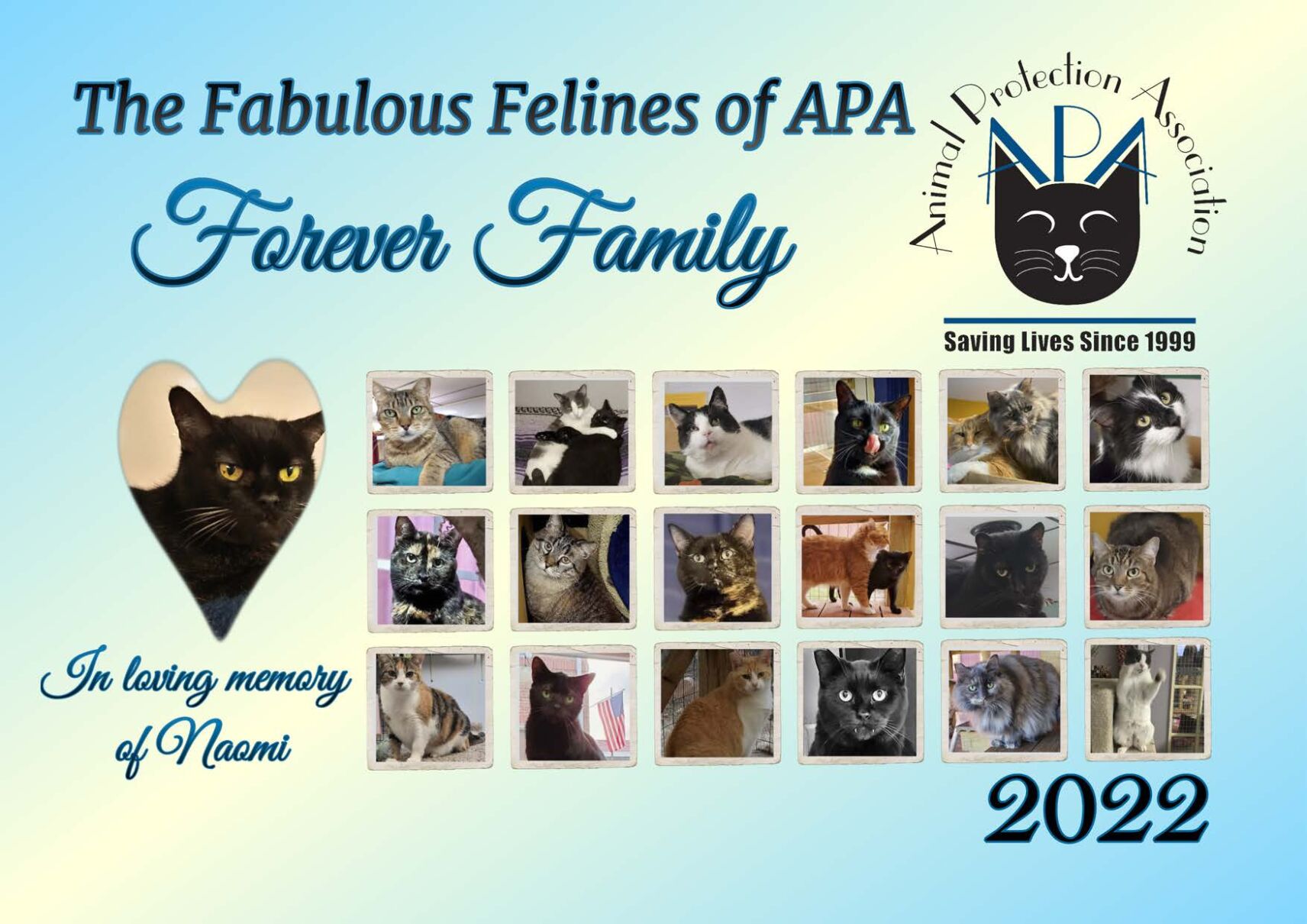 APA Calendar